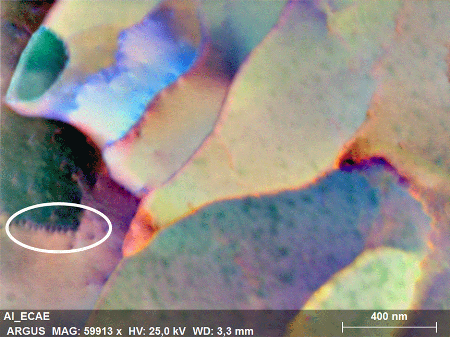 FSE image acquired in transmission mode with individual dislocations highlighted