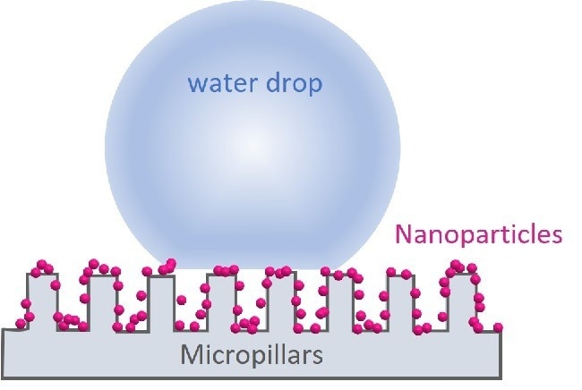 Dual-scale structure with microscale and nanoscale roughness.