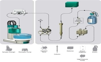 Identification of Amines Found in Refineries via Ion Chromatography Using a High Capacity Cation Exchange Column