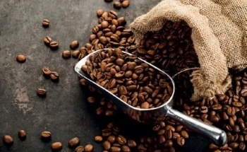 Using Benchtop NMR to Detect Adulteration of Arabica Coffee with Robusta