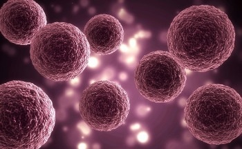 Developing Bioactive Cell Culture Materials with Plasma Treatment