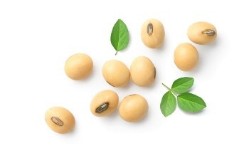Analysis of Nitrogen Solubility in Soy Protein Using FT-NIR Spectroscopy