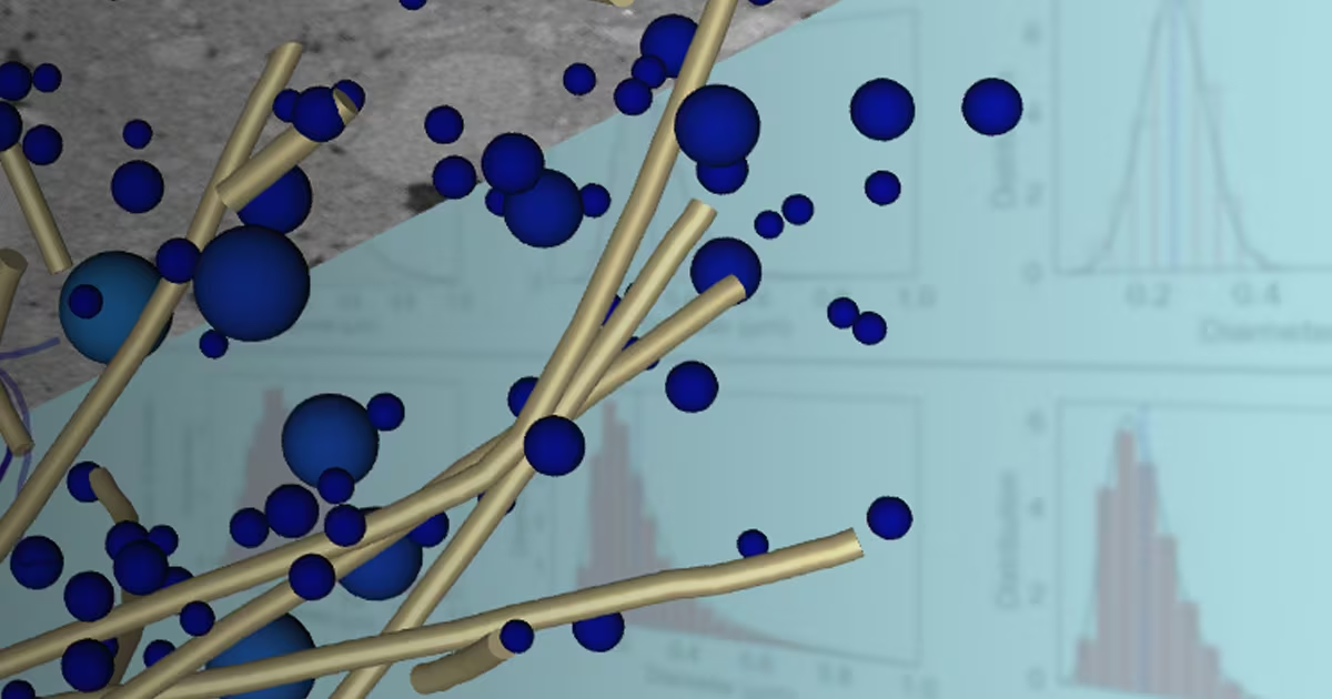 Avizo Software - Imaging Data Analysis for Materials Characterization and Quality Control