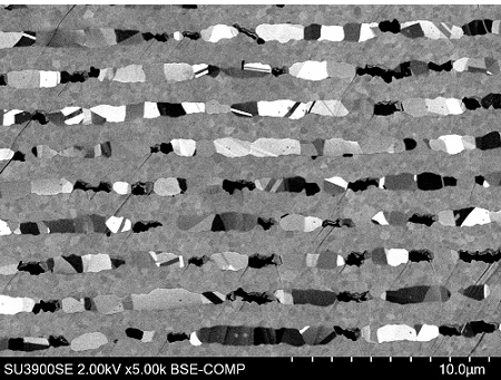 Cross section of layered ceramic capacitor. The composition and crystal contrast of nickel electrodes/dielectric layer can be observed