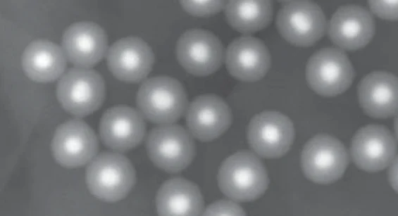 Nanoparticles Containing Core-Shell Structure.