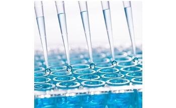 MaxSignal Enzyme Linked Immuno-Sorbent Assay (ELISA) Kits