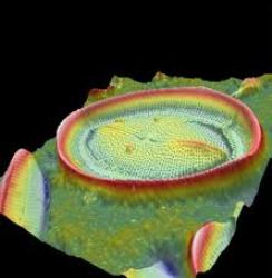 3D Roughness Reconstruction Application for Phenom Desktop SEM Systems
