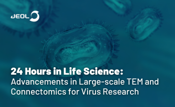 24 Hours in Life Science: Advancements in Large-scale TEM and Connectomics for Virus Research
