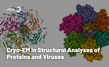 Cryo-EM in Structural Analyses of Proteins and Viruses